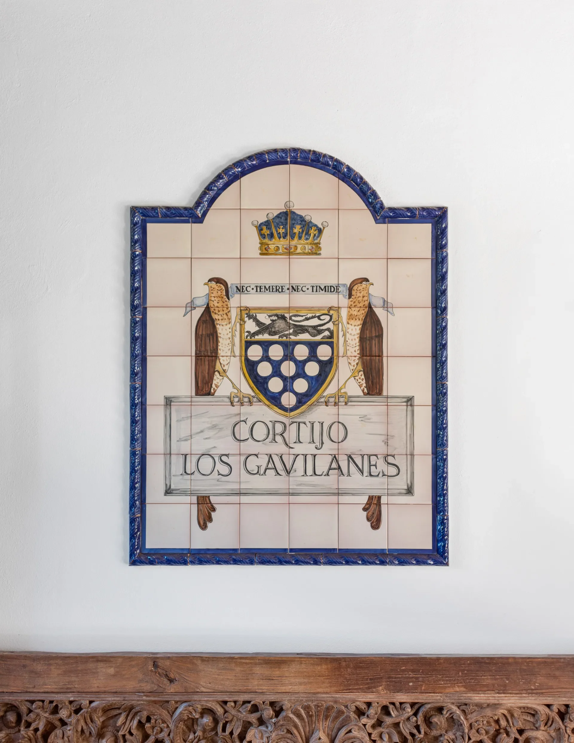 Estepona, Malaga, Estepona, Andalusia, Spain. - Photo 20
