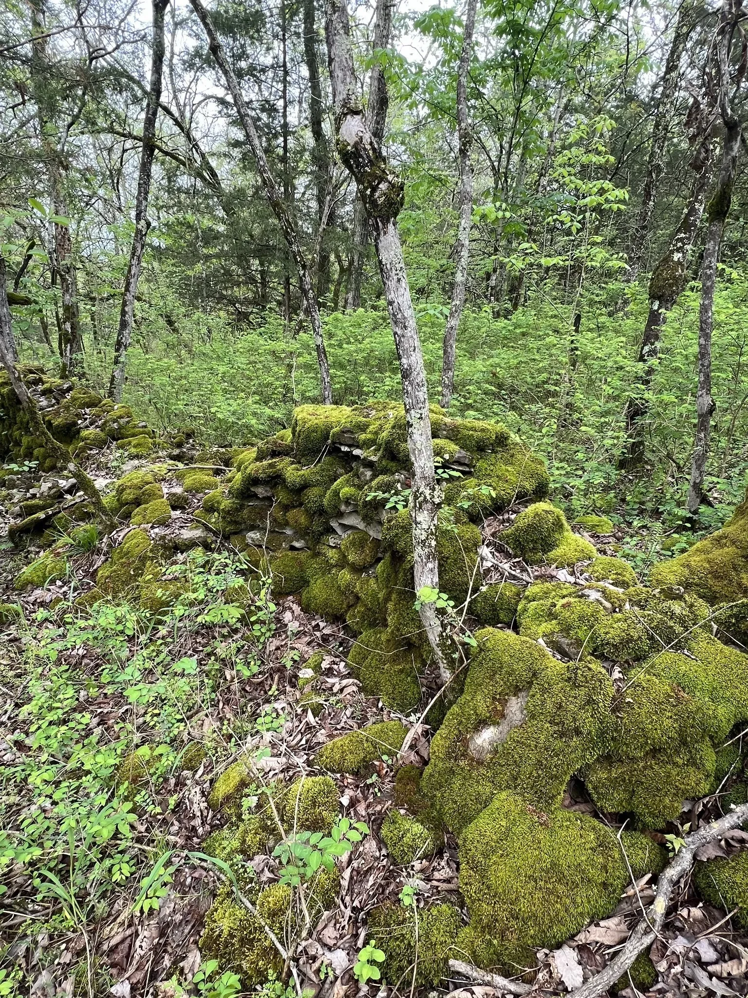 0 Huff Hollow Rd , Granville, TN 38564, Granville, Tennessee, United States. - Photo 30