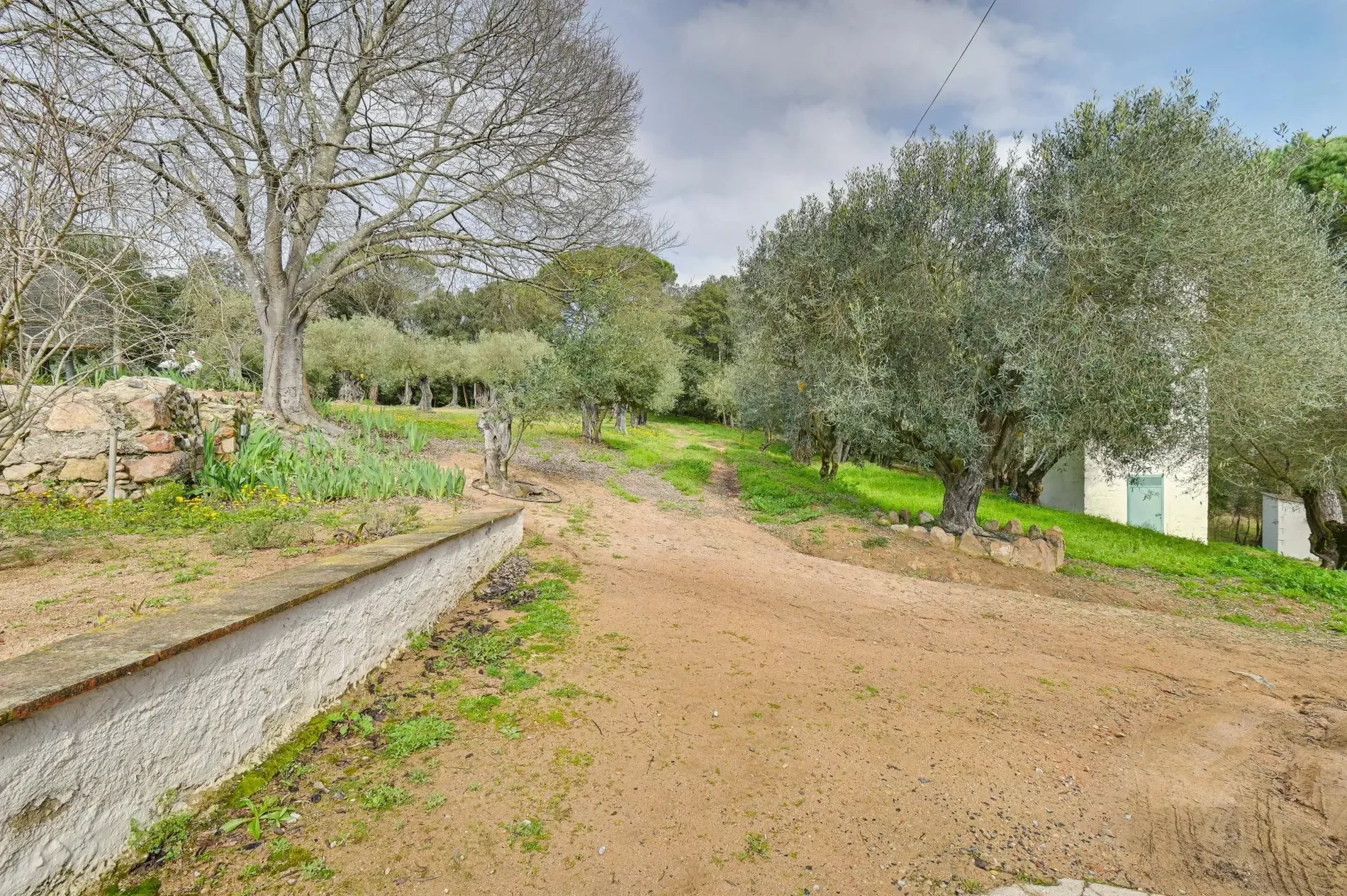 Tordera, Catalonia, Spain. - Photo 28