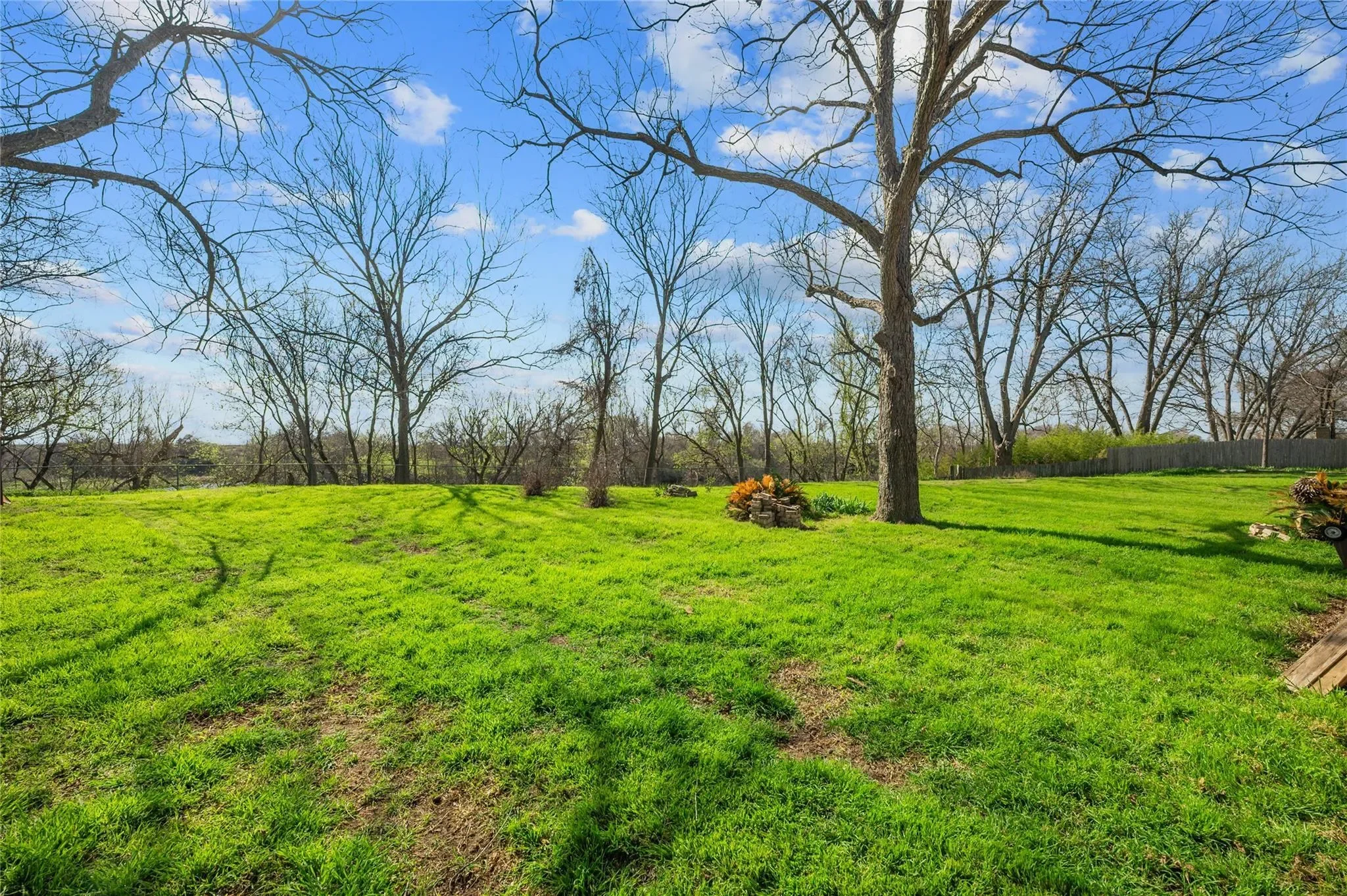 7705 Shelton RD, Austin, Texas, United States. - Photo 15