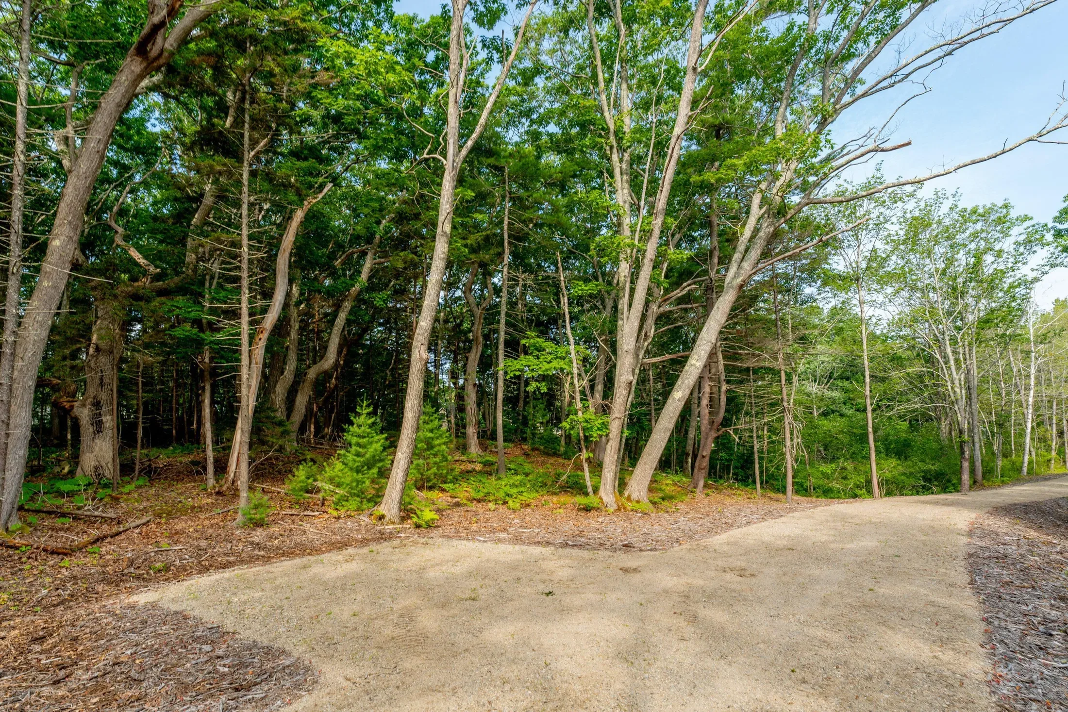 2A Ivy Lane, Kennebunkport, ME 04046, Kennebunkport, Maine, United States. - Photo 9