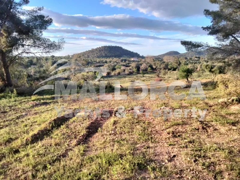 07200 Felanitx, Balearic Islands, Spain, Felanitx, Balearic Islands, Spain. - Photo 5