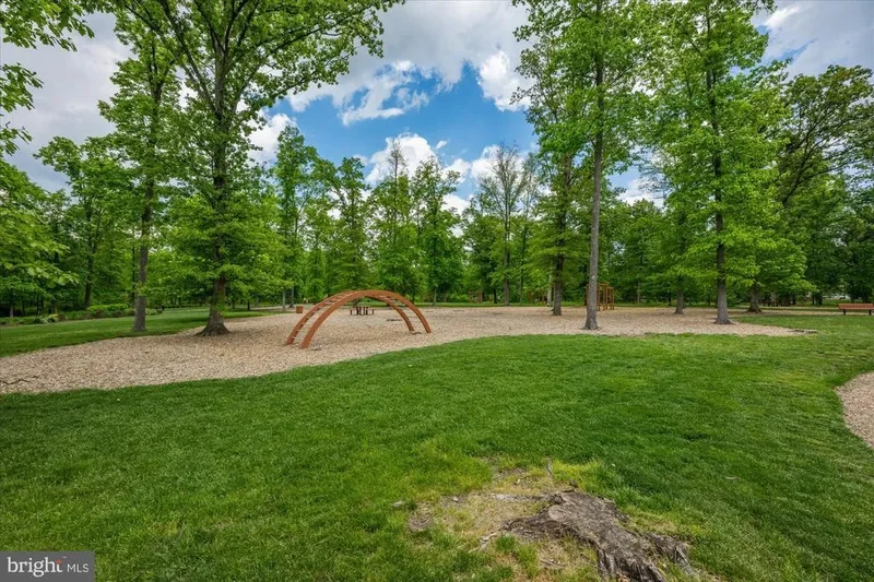20305 SAVIN HILL DR DRIVE, ASHBURN, VA 20147, Ashburn, Virginia, United States. - Photo 61