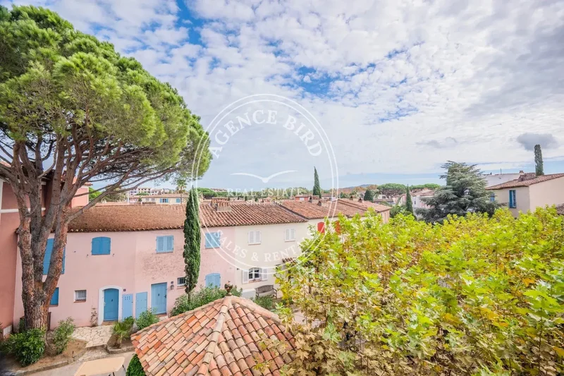Grimaud, Provence-Alpes-Côte d'Azur, France. - Photo 19