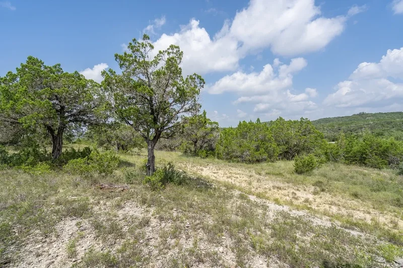 19705 Tyler Trail, Jonestown, TX 78645, Jonestown, Texas, United States. - Photo 2