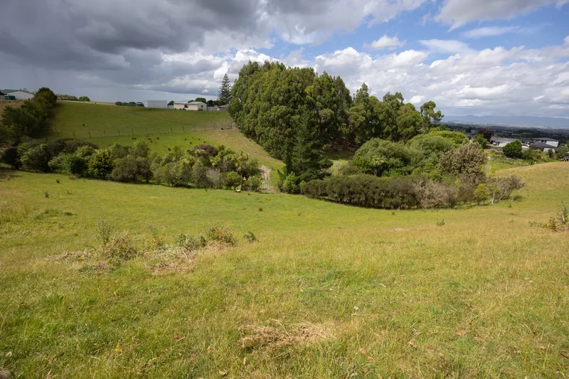 22 Halcombe Road, Feilding, MWT 4072, Feilding, Manawatu-Wanganui, New Zealand. - Photo 4