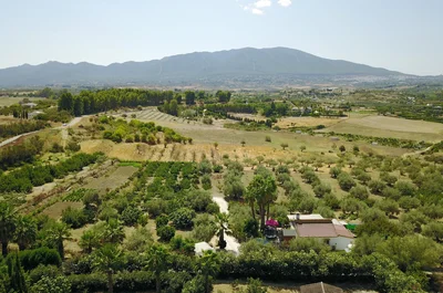 Thumbnail 34