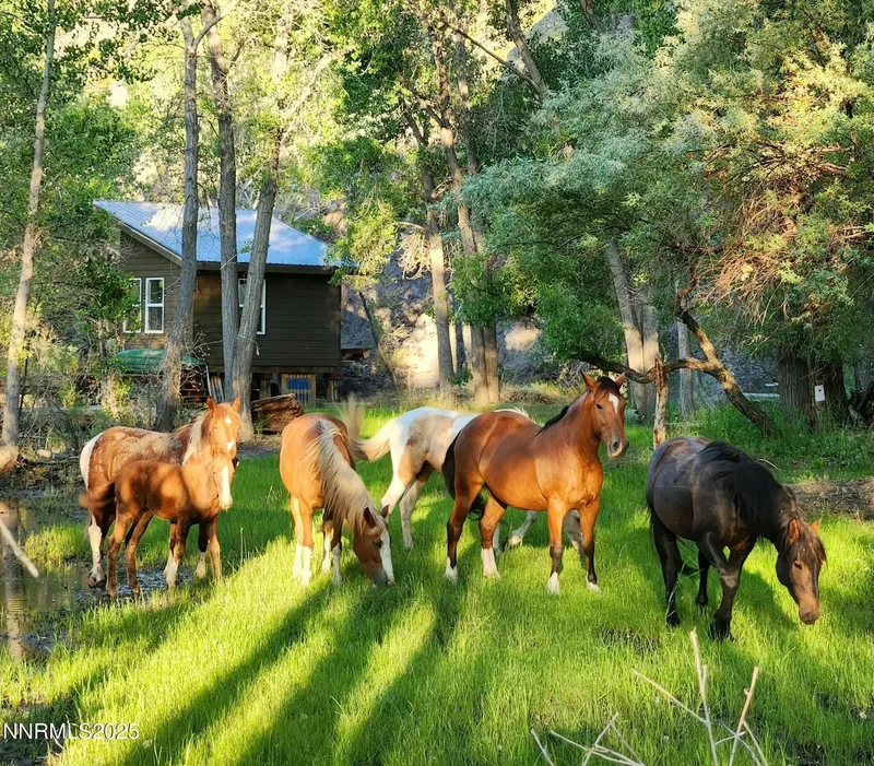 45 Casentino Court, Dayton, NV, 89403, USA, Dayton, Nevada, United States. - Photo 5