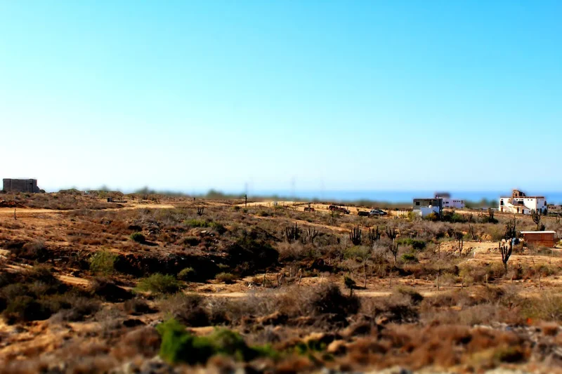 Calle Molusco, Todos Santos, Baja California Sur, Mexico. - Photo 59