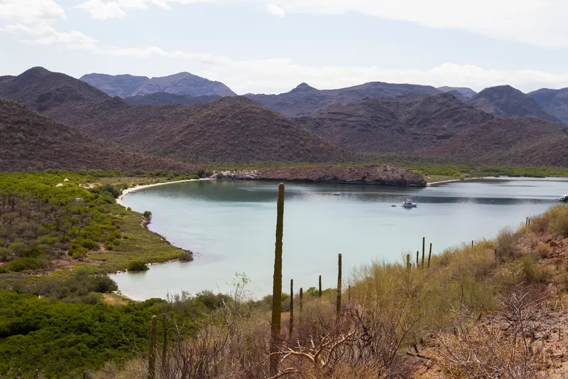 Seramai, Bahia Concepcion, Mulegé, BCS, El Coyote, Baja California Sur, Mexico. - Photo 3
