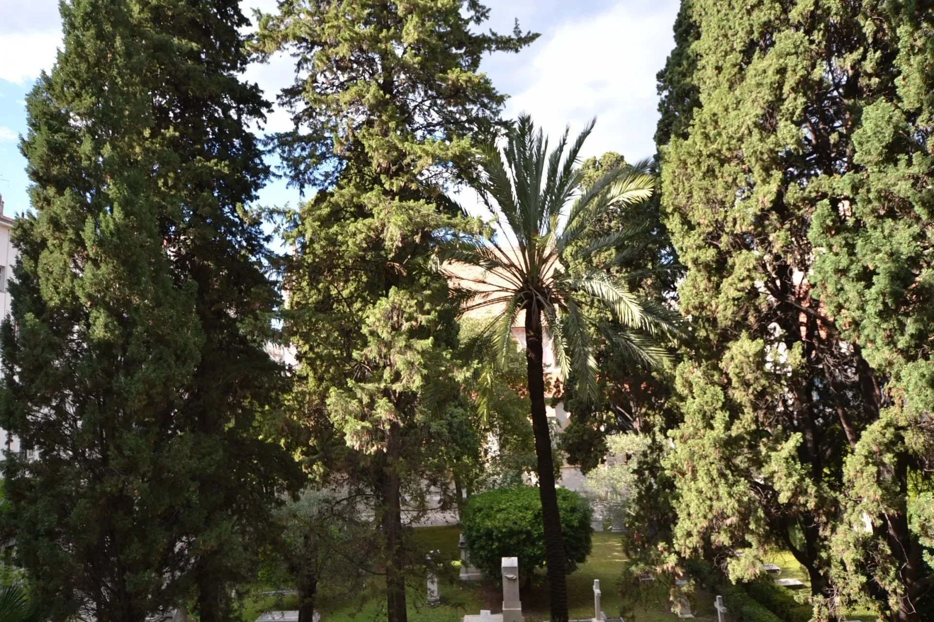Nice, Provence-Alpes-Côte d'Azur, France. - Photo 14