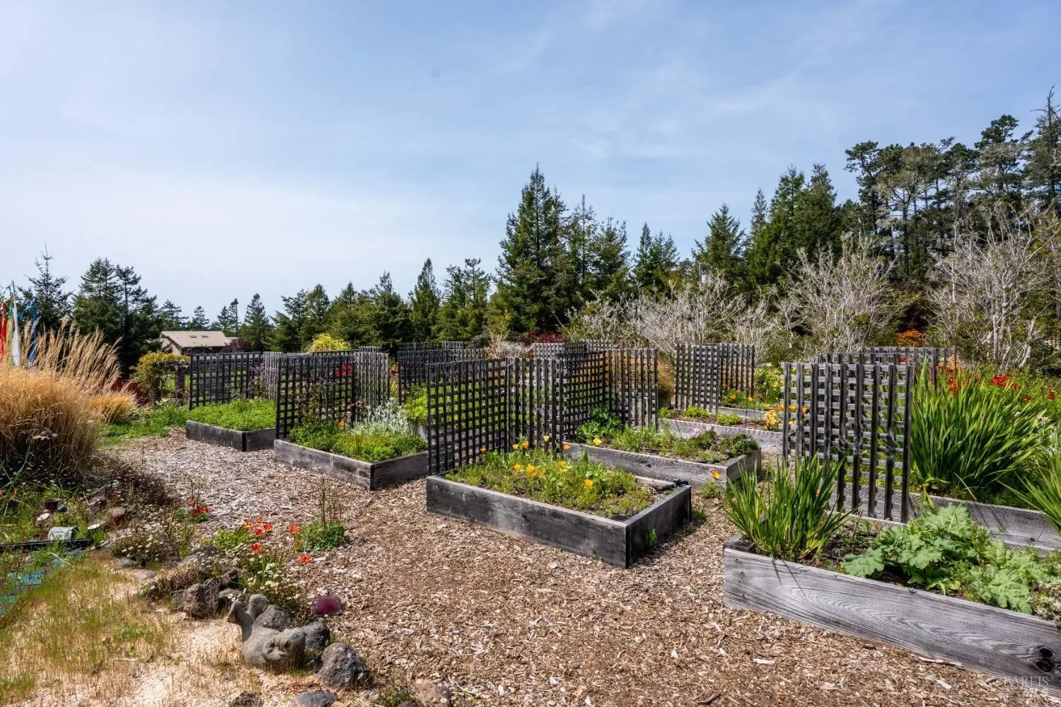40811 Eureka Hill Road, Point Arena, California, United States. - Photo 23