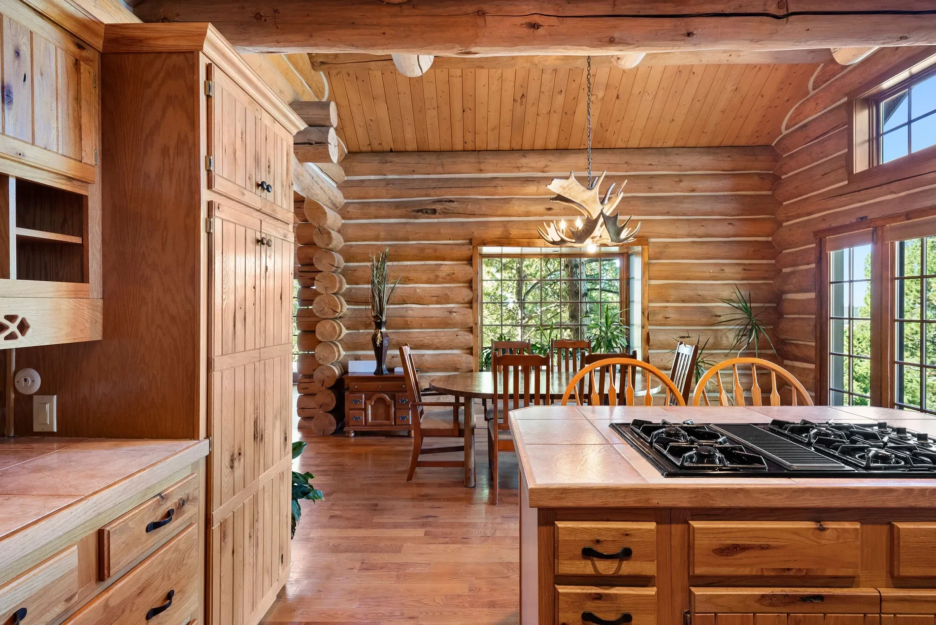 1010 Cantiberry Road , Divide, CO 80814, Westcreek, Colorado, United States. - Photo 15