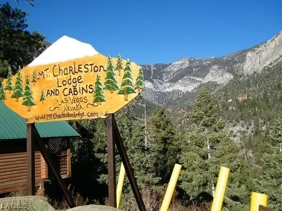 4178 Matterhorn Way, Mount Charleston, Nevada, United States. - Photo 52