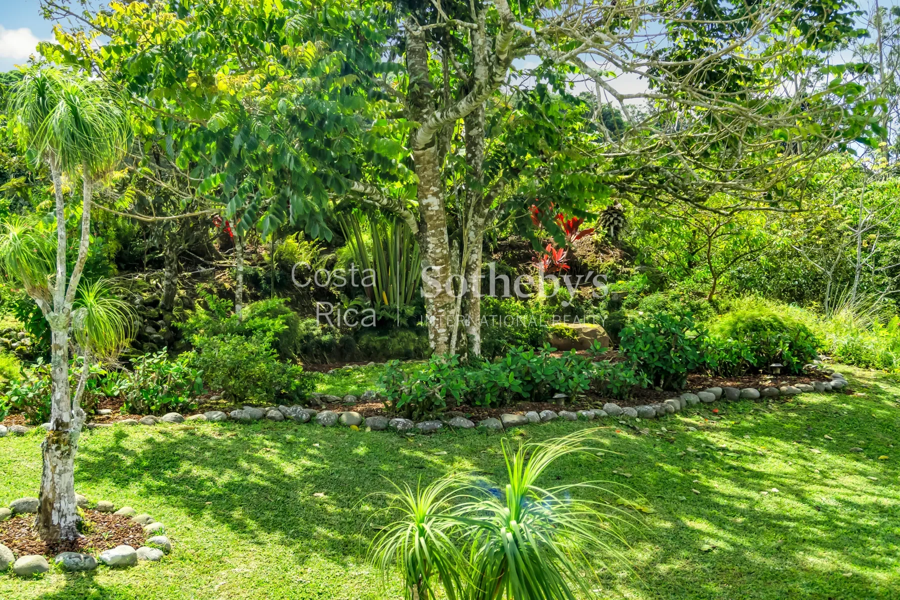 Gallery photo 11