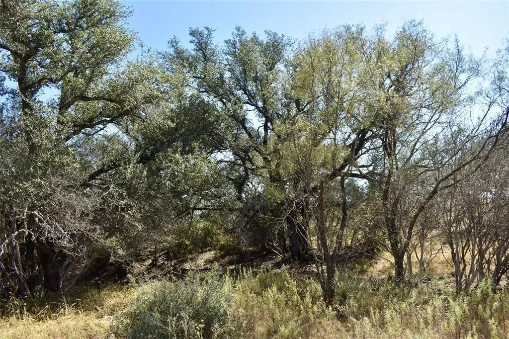 19319 Ranch Road 1871, Mason, Texas, United States. - Photo 36