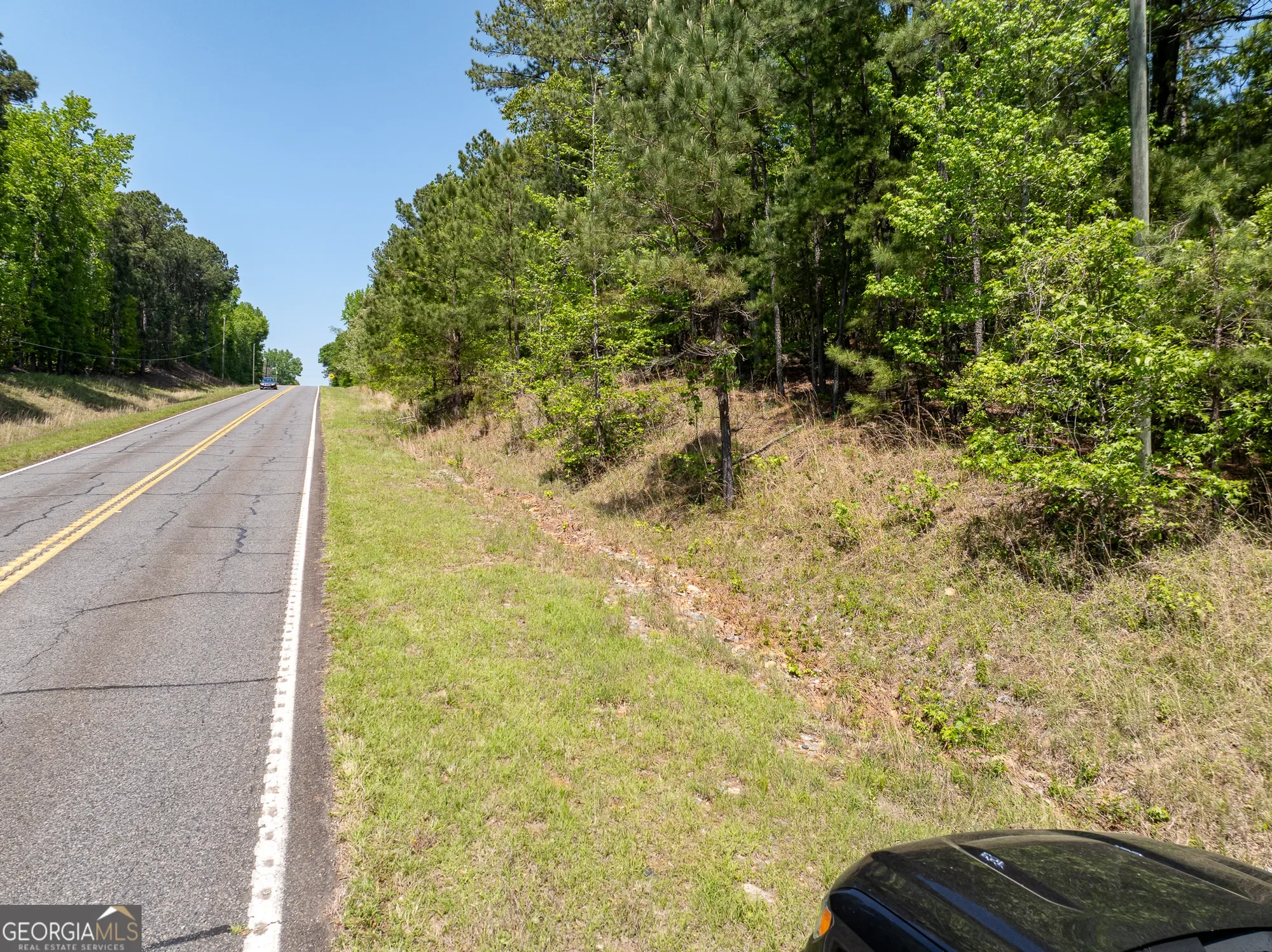 Shiloh, Georgia, United States. - Photo 47