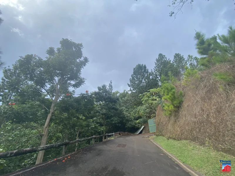 Punaauia, Punaauia, Puna'auia, Windward Islands, French Polynesia. - Photo 12
