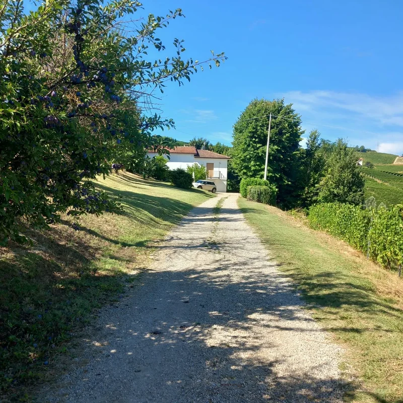 frazione Camo, regione Casa Cich , 0 Santo Stefano Belbo (Cuneo), Colombaro Ferraris, Cuneo, Piedmont, Italy. - Photo 19