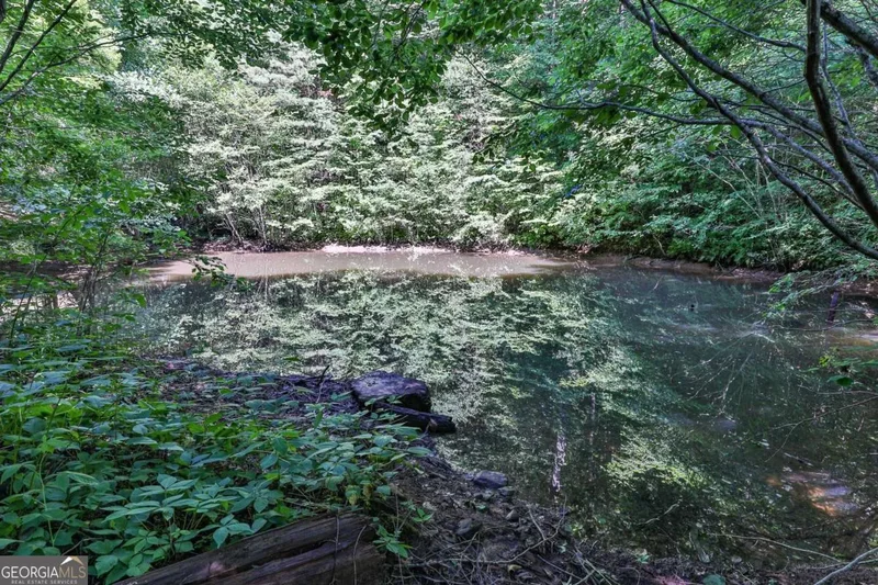 51+ ACRE Mountain Cove Way #1-8, Cherry Log, GA 30522, Cherry Log, Georgia, United States. - Photo 29