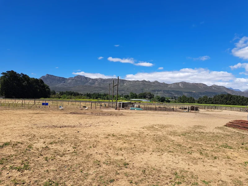 Paarl, Western Cape, South Africa. - Photo 7
