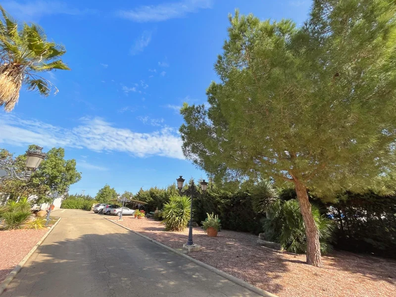 Los Alcazares, Los Alcazares, Murcia, Los Alcazares, Los Alcazares, Region of Murcia, Spain. - Photo 45