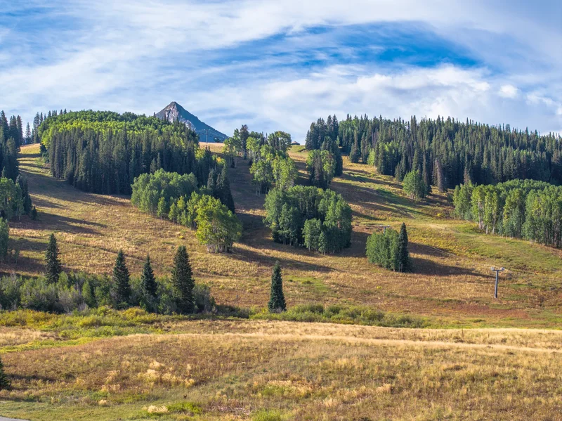 8 Appaloosa Road , Mt. Crested Butte, CO 81224, Crested Butte, Colorado, United States. - Photo 11
