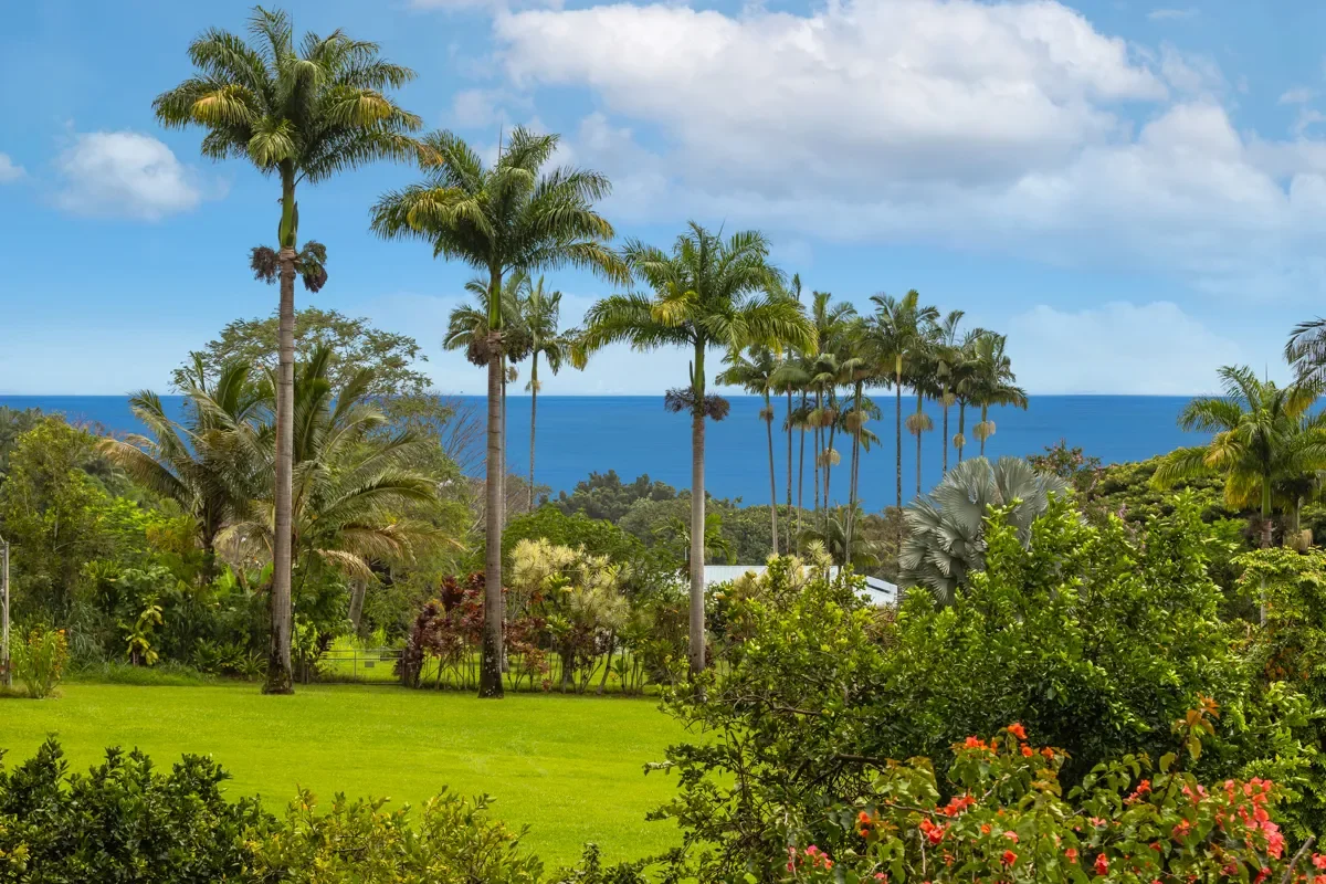 29-2115 OLD MAMALAHOA HIGHWAY, Hakalau, HI 96710, Pepeekeo, Hawaii, United States. - Photo 2