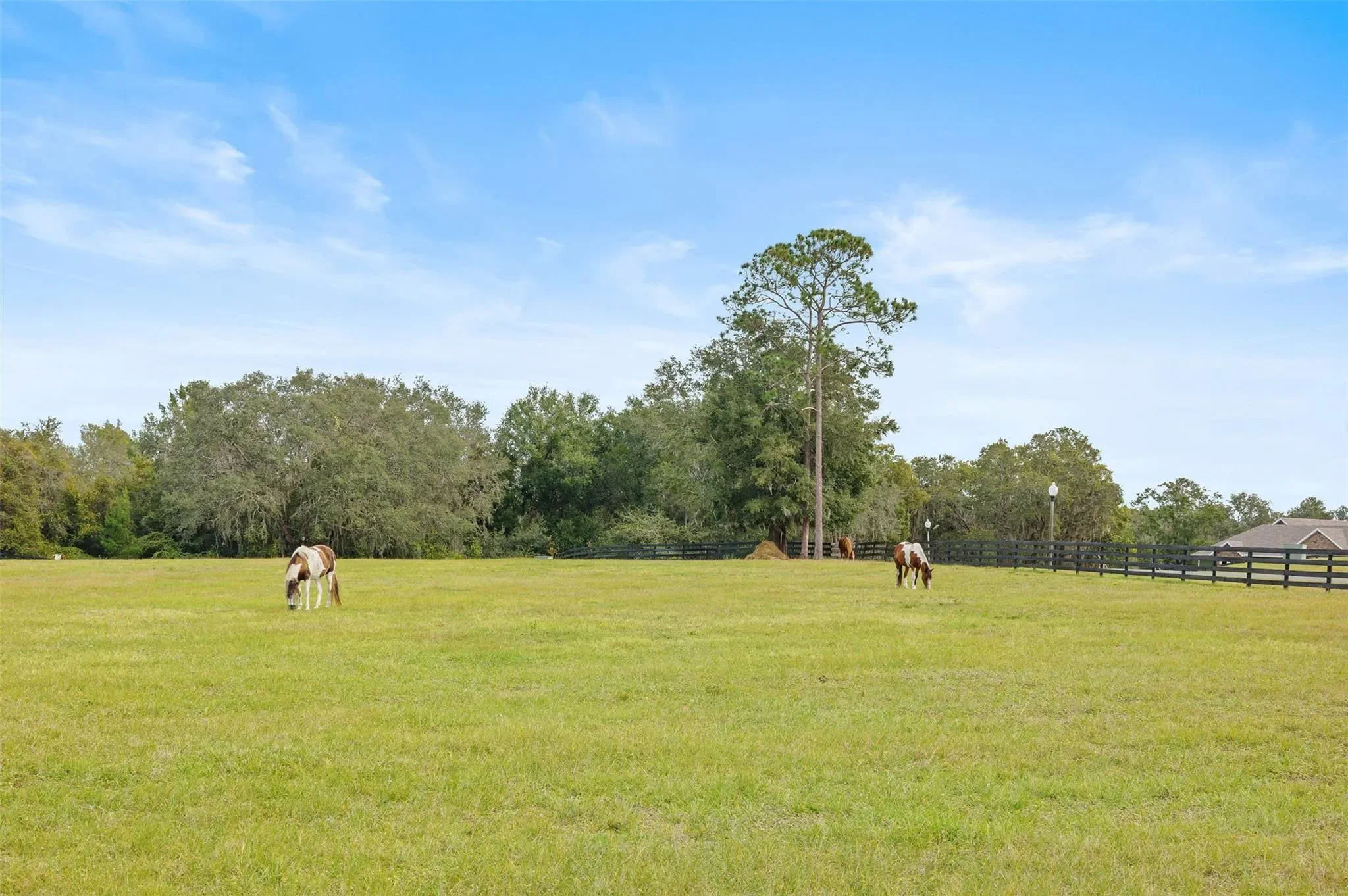 41526 SADDLE RIDGE LANE, The Villages, Florida, United States. - Photo 53