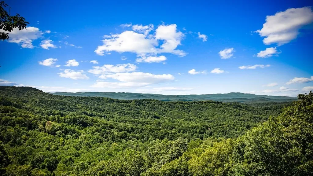 55 Grand Vista Drive, Blue Ridge, Georgia, United States. - Photo 52