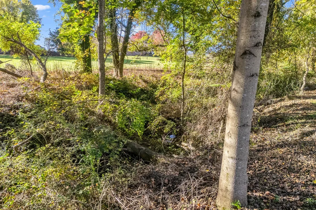 628 New Hope Road, Flat Rock, NC 28731, Flat Rock, North Carolina, United States. - Photo 16