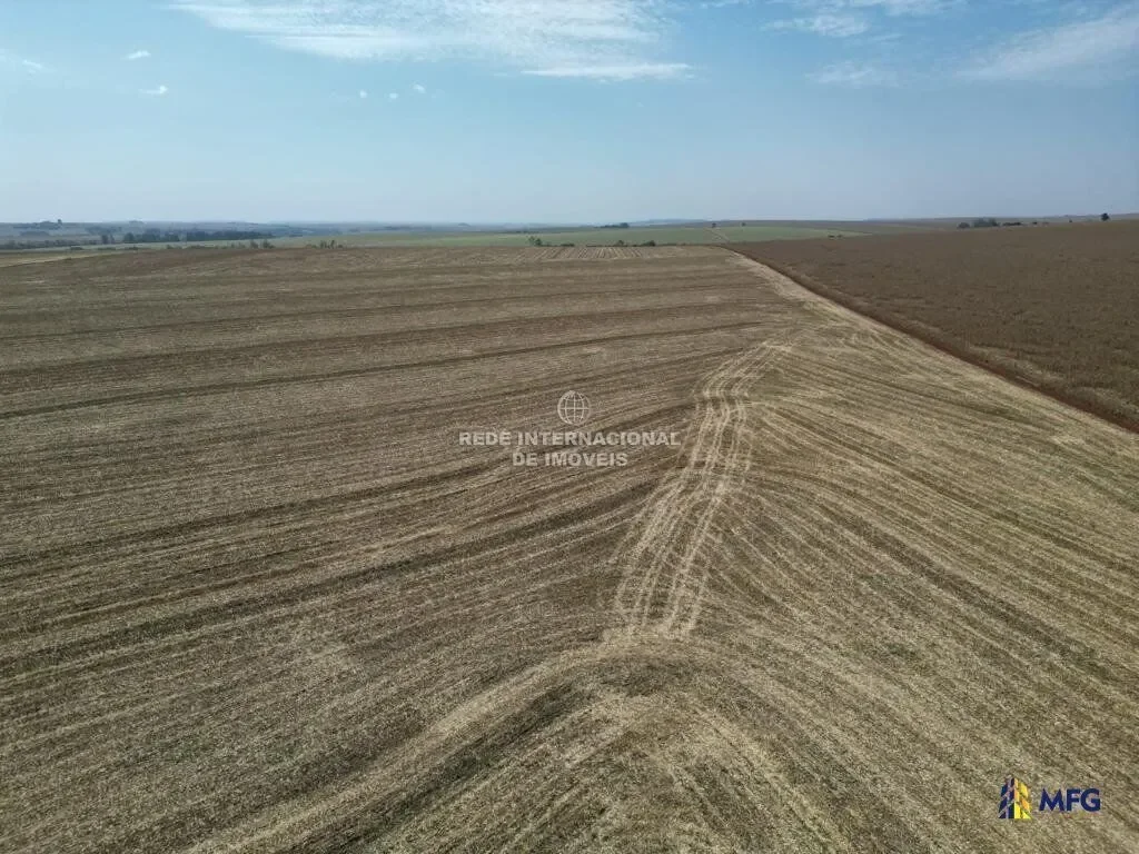 Total area 653 alqueires paulista Pasture area 125 alqueires paulista Planting area 290 alqueires