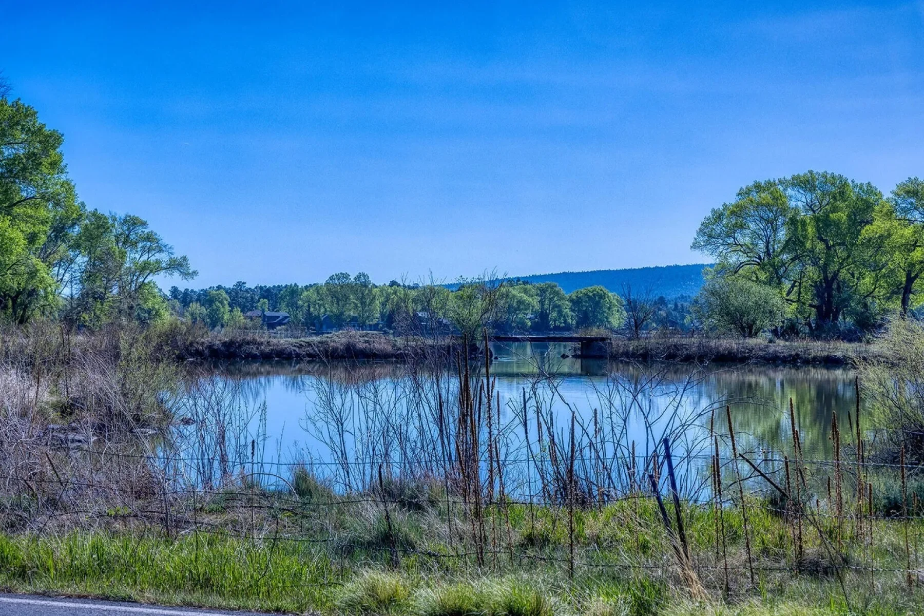 XXXX Larson Road , Pinetop-Lakeside, AZ 85259, Pinetop-Lakeside, Arizona, United States. - Photo 17