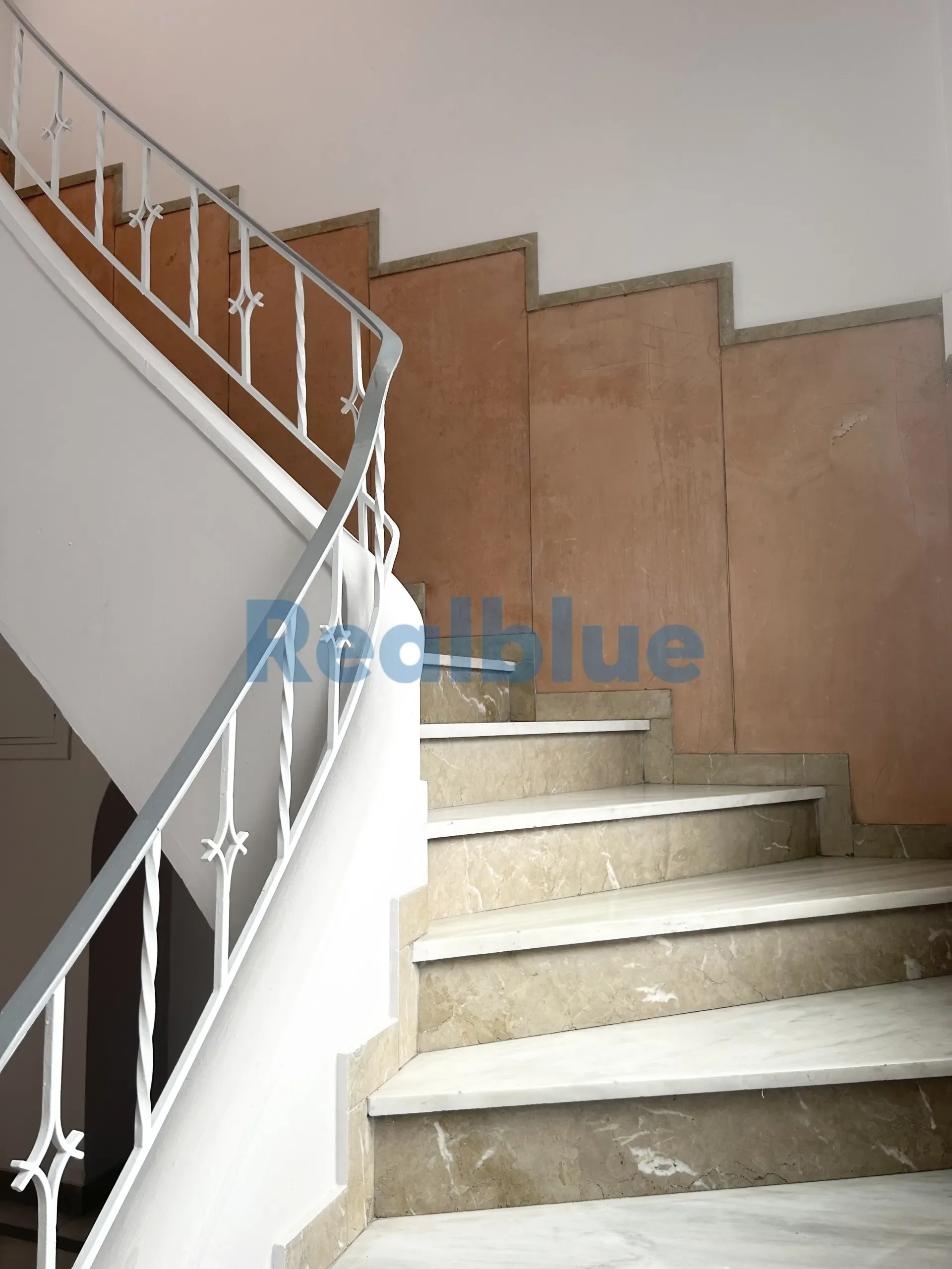 Gallery photo 6