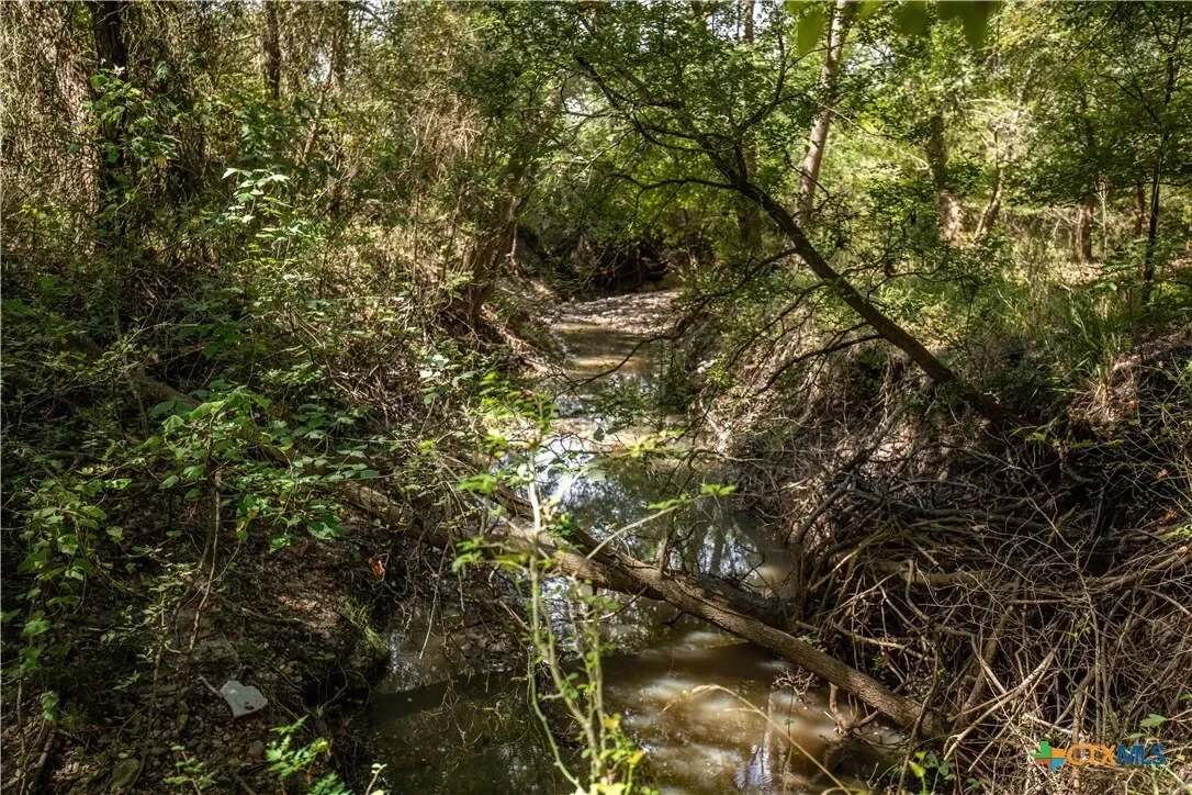 000 Fm 766, Cuero, TX 77954, Cuero, Texas, United States. - Photo 19