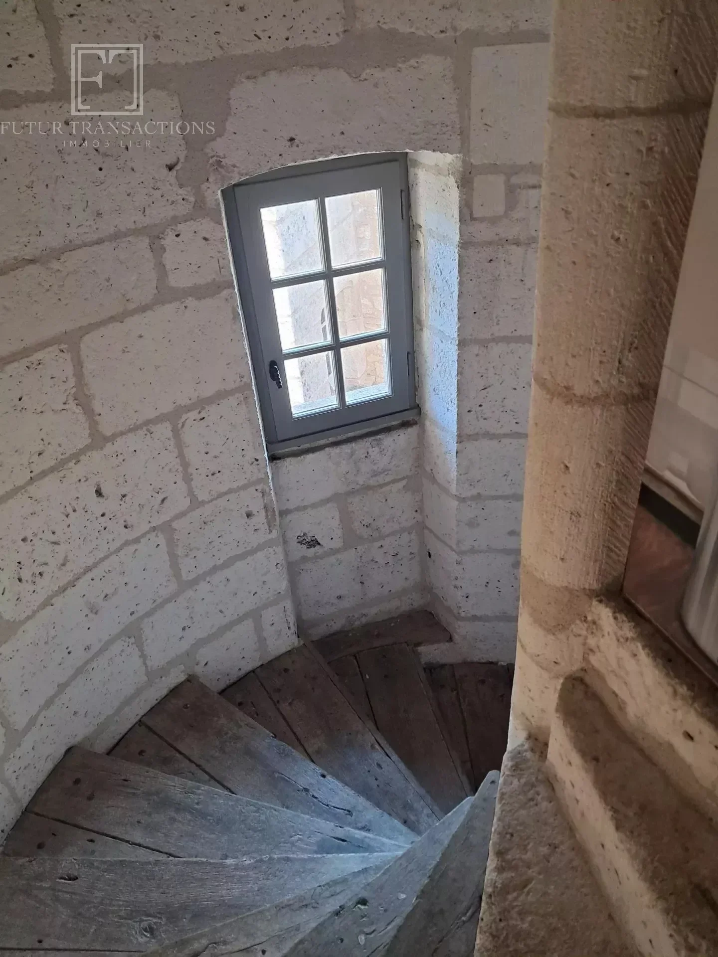 Gallery photo 6