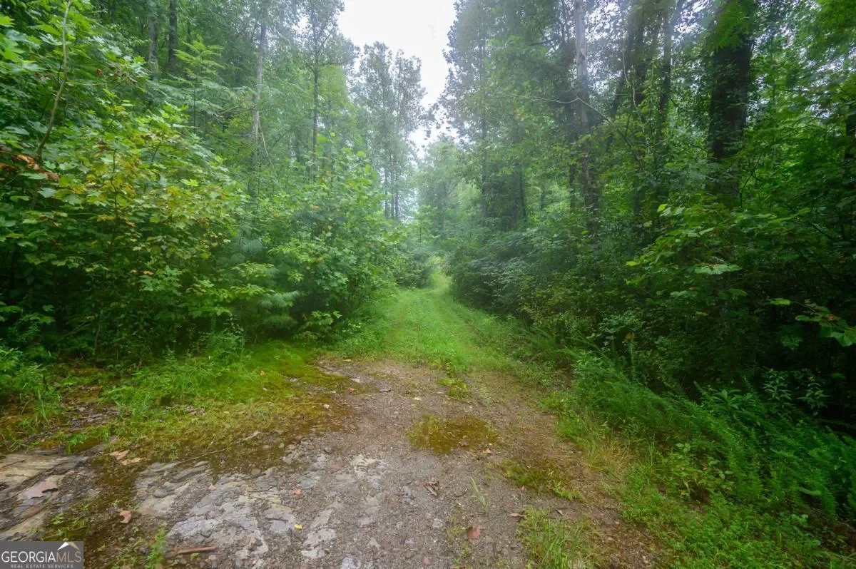 11094 Old 441 S, Lakemont, Georgia, United States. - Photo 2