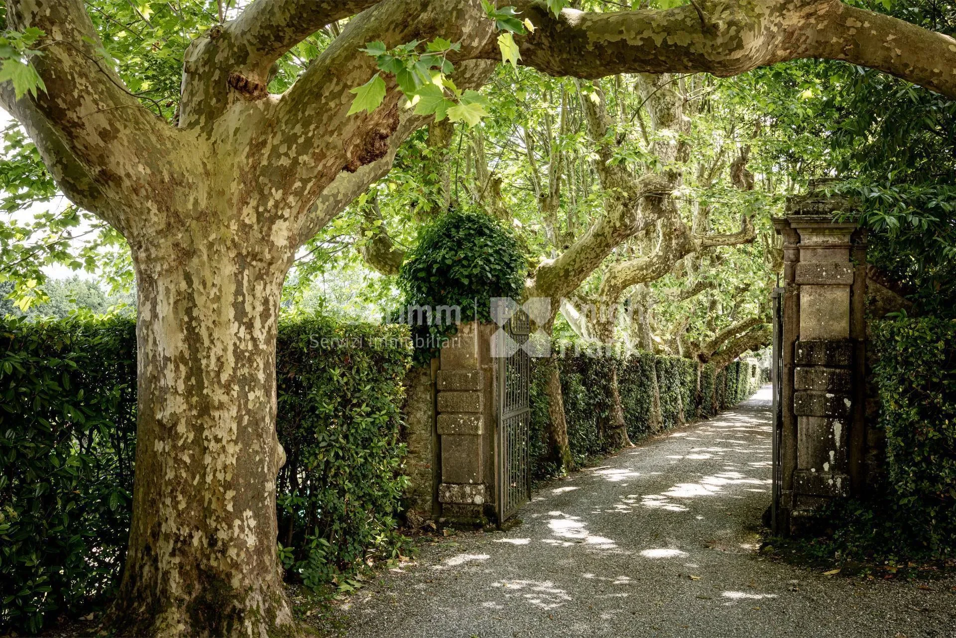 Lucca, Tuscany, Italy. - Photo 3