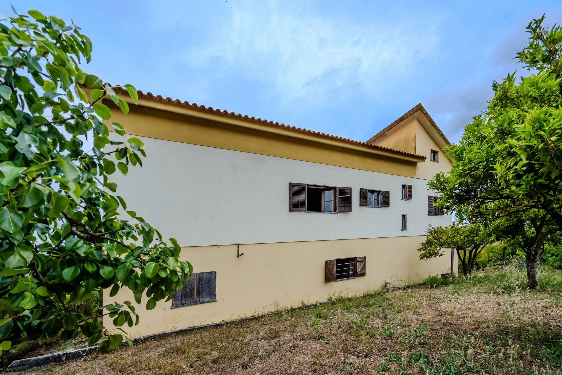 Exterior photo 4
