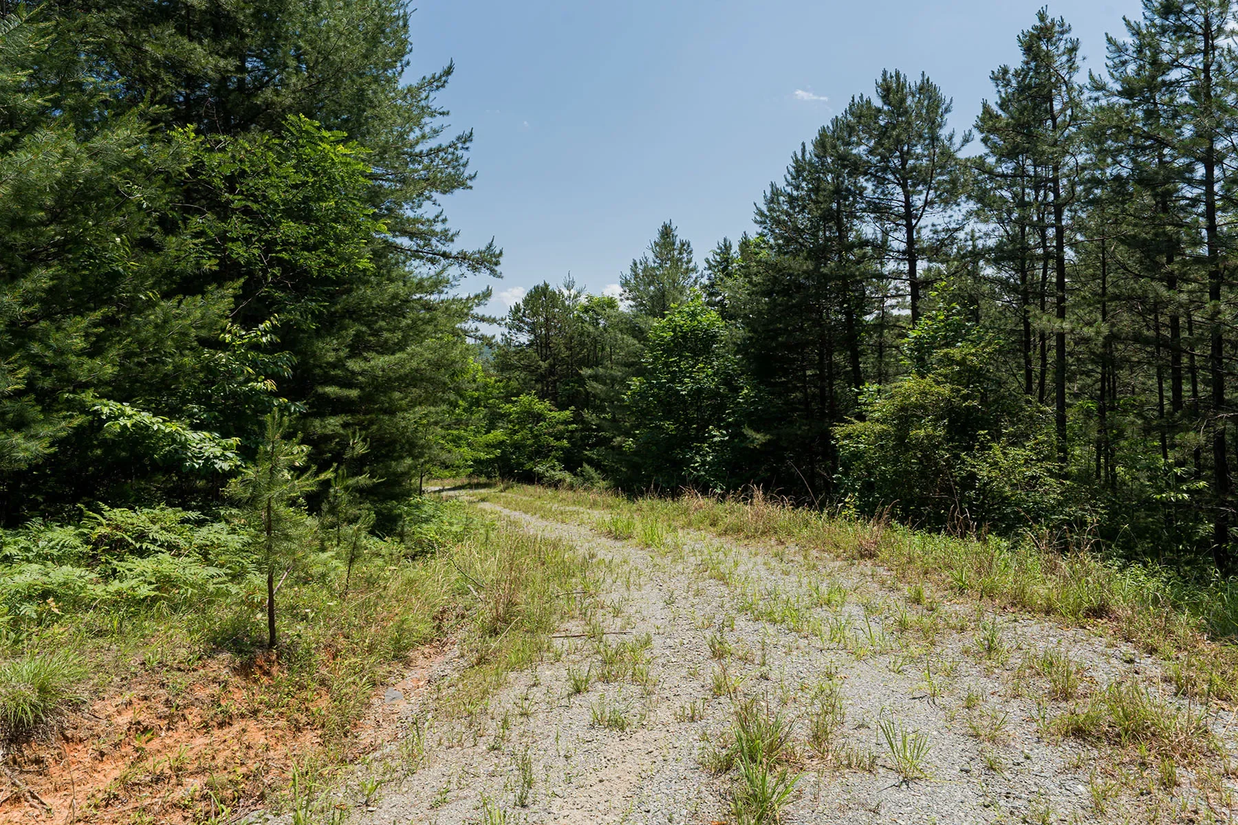 1000 Sutton Creek Road, Pisgah Forest, NC 28768, Mills River, North Carolina, United States. - Photo 9