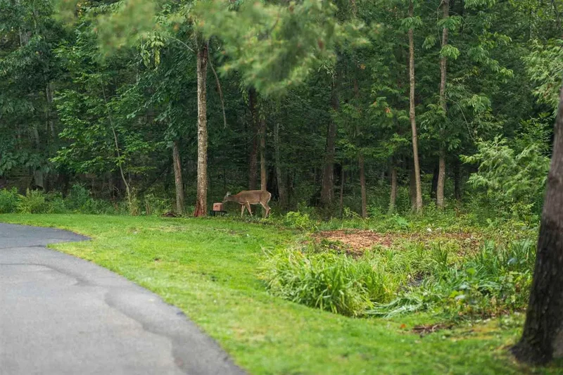 731 W Hathaway Road, Harbor Springs, MI 49740, Wequetonsing, Michigan, United States. - Photo 17