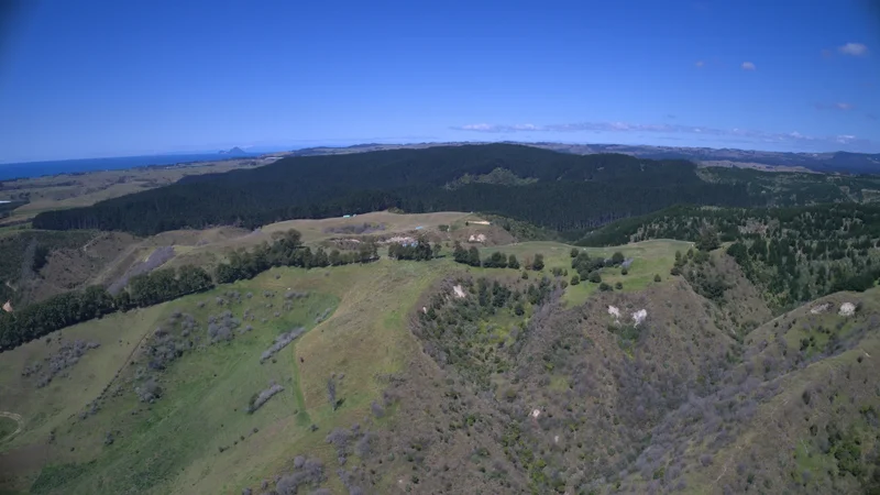 15 Schrieber Road, Pukehina 3186, New Zealand, Pukehina, Bay of Plenty, New Zealand. - Photo 27