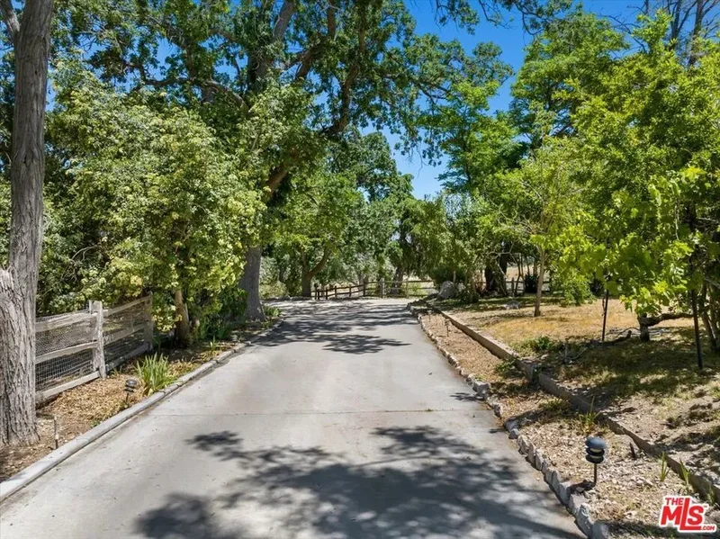 31008 Pine Canyon Road, Lake Hughes, California, United States. - Photo 15