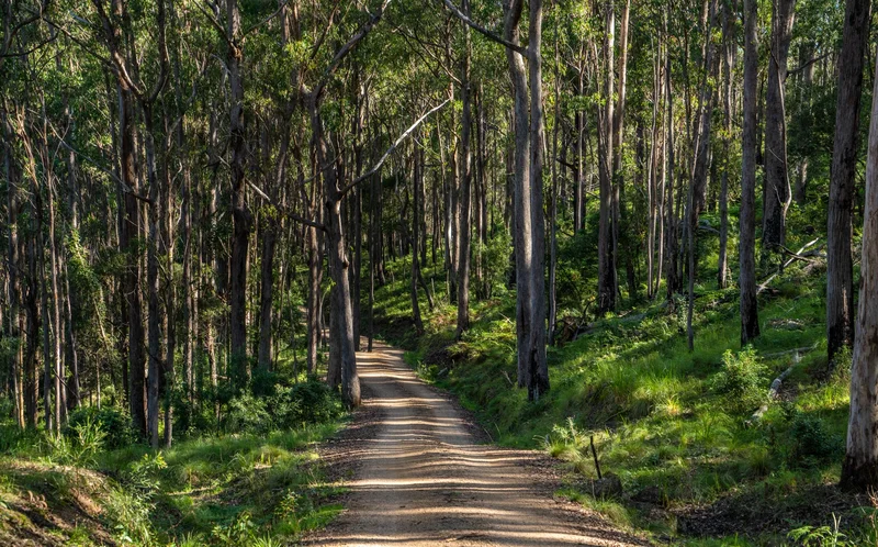 224 Wallaroo Range Rd, Willsons Downfall NSW 2372, Australia, Willsons Downfall, New South Wales, Australia. - Photo 52