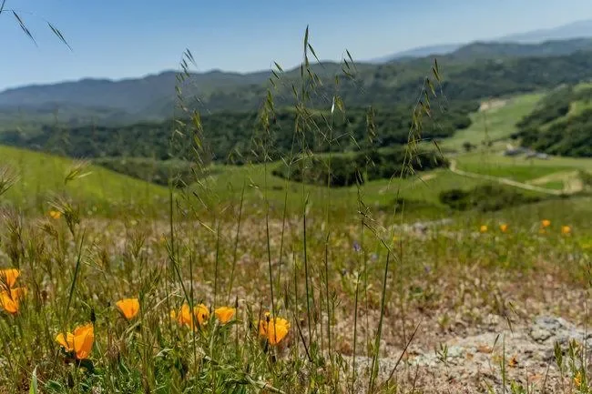 100 Old Stage Rd, San Juan Bautista, California, United States. - Photo 51