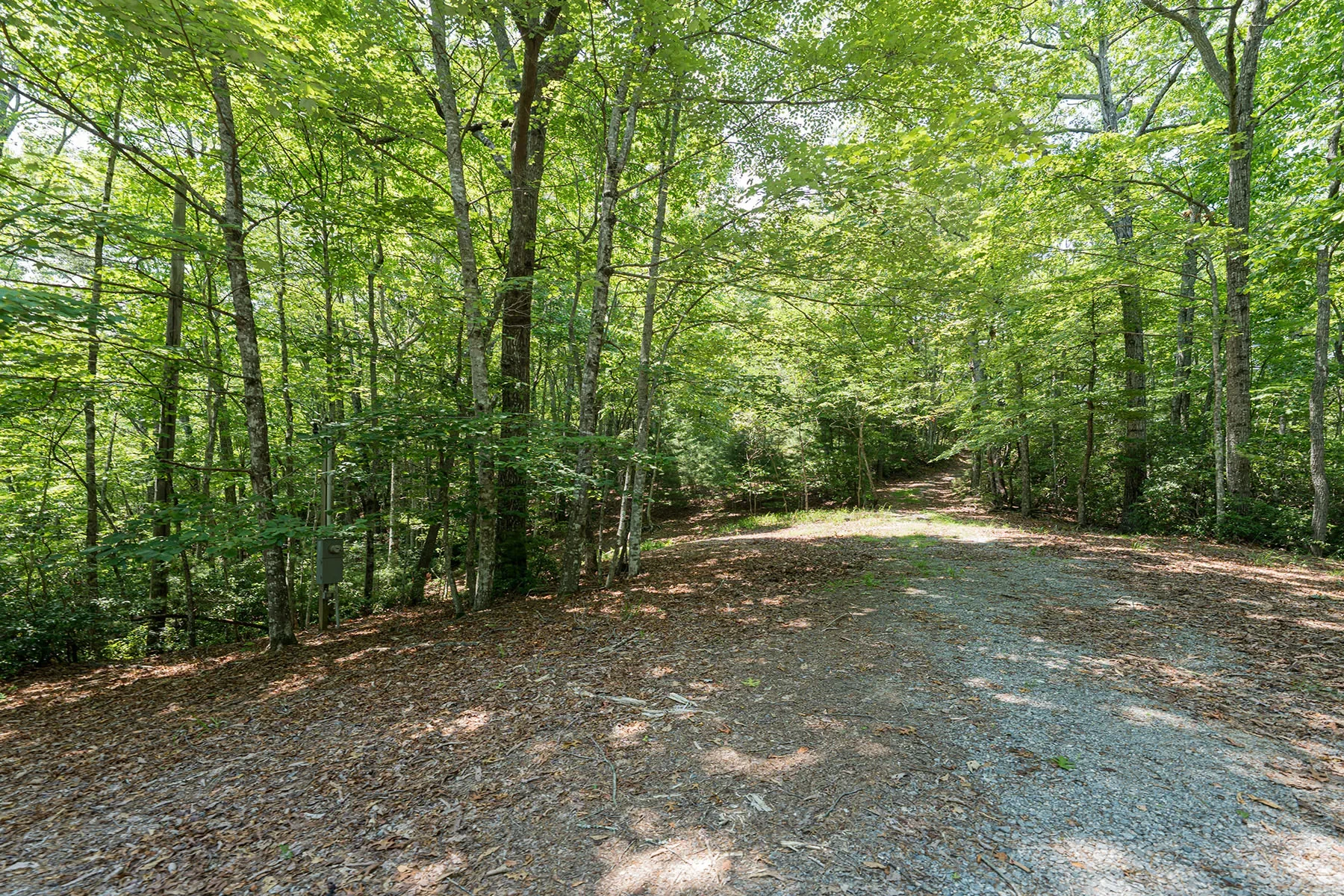 1000 Sutton Creek Road, Pisgah Forest, NC 28768, Mills River, North Carolina, United States. - Photo 13