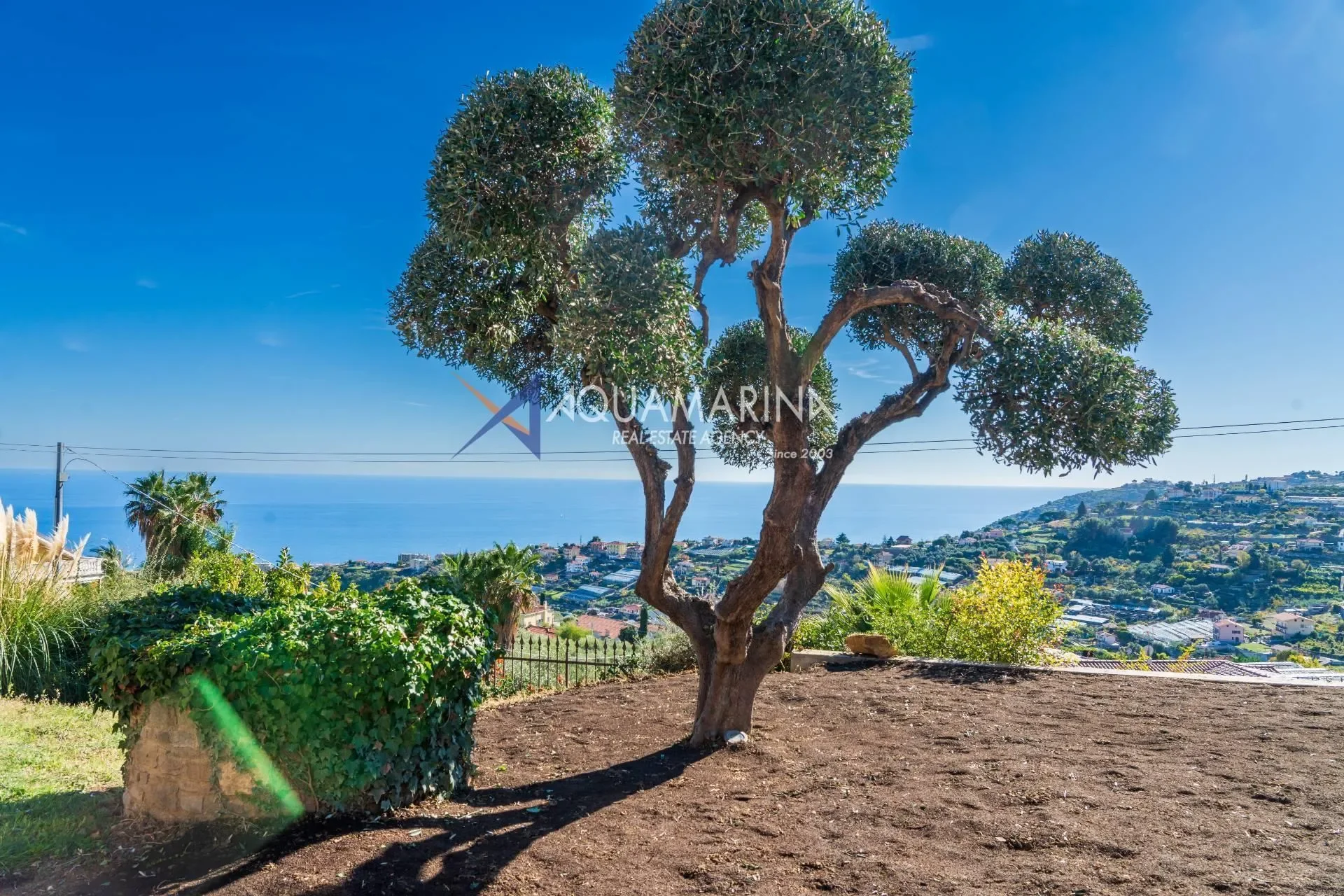 Sanremo, Liguria, Italy. - Photo 76