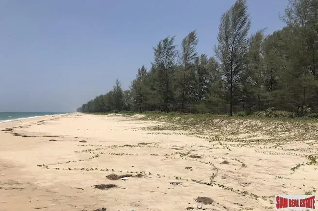 Phang Nga,, Na Toei, Phang-nga, Thailand. - Photo 5