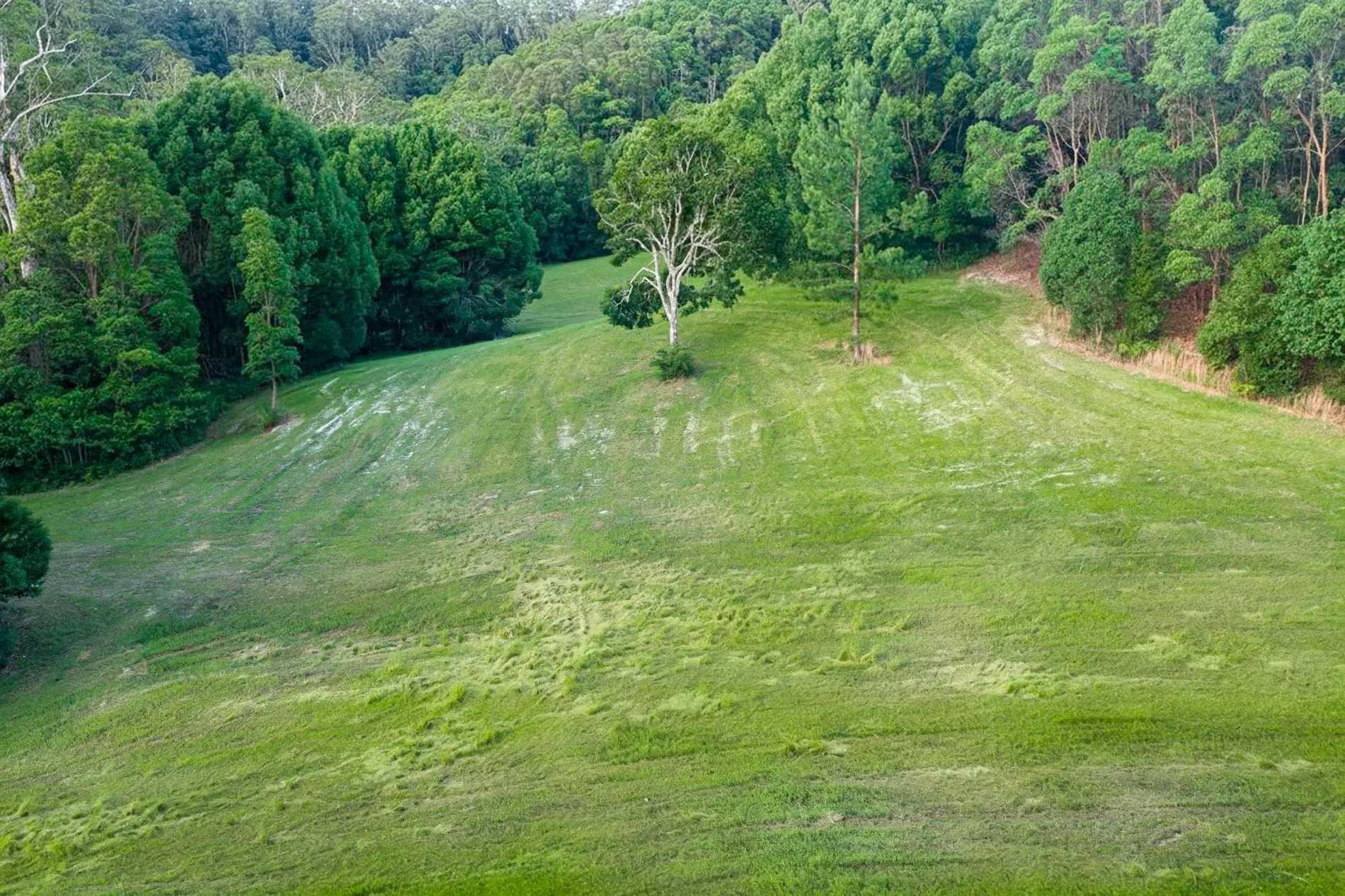 Billinudgel, The Pocket Road, Billinudgel, New South Wales, Australia. - Photo 6