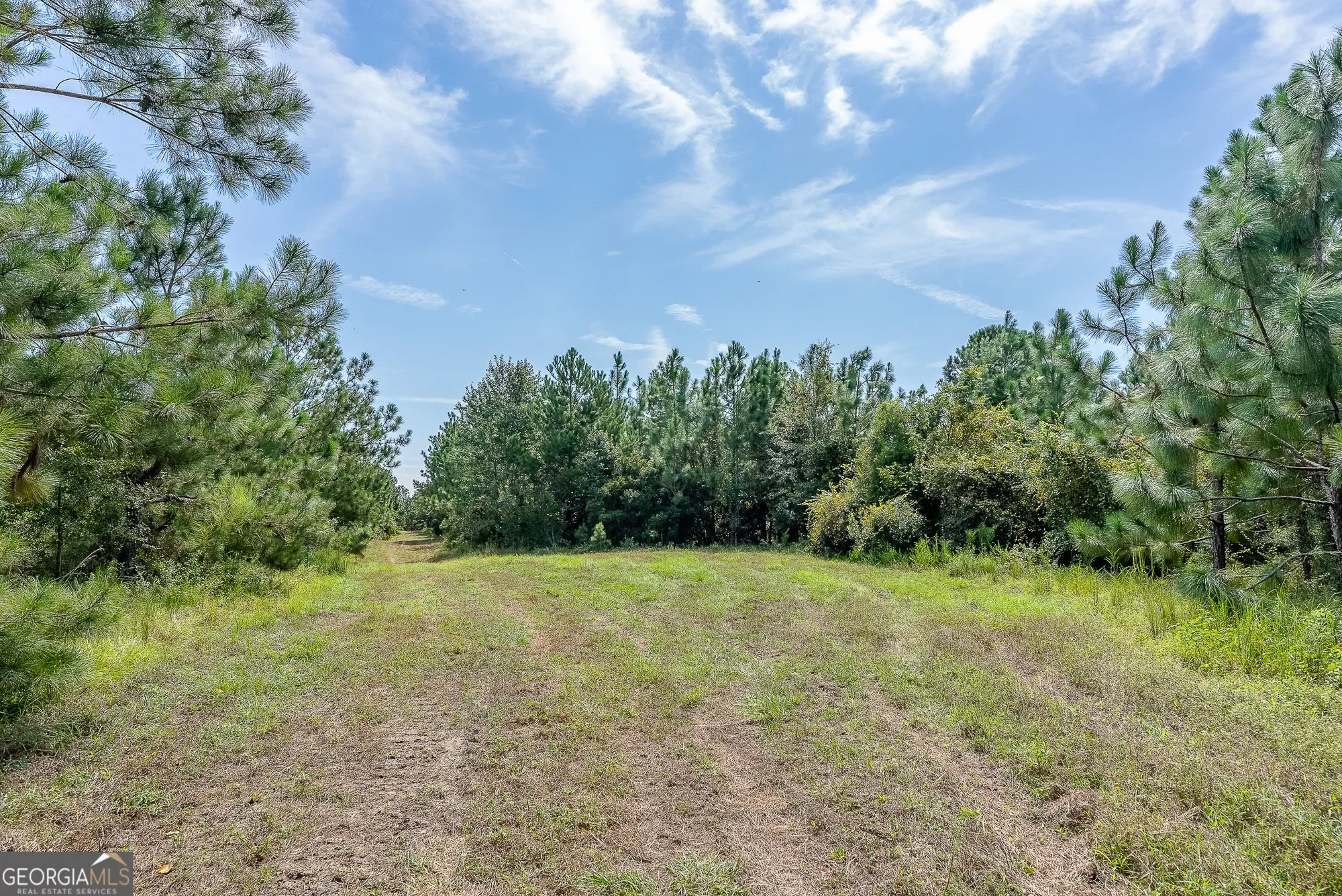0 Rhonda Coleman, Hazlehurst, GA 31539, Hazlehurst, Georgia, United States. - Photo 6